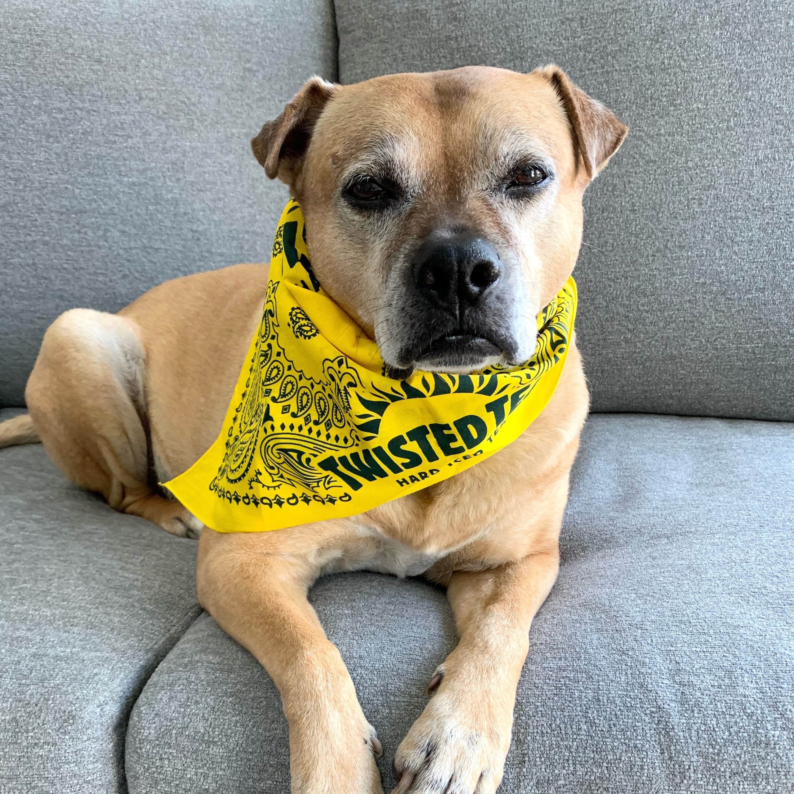 Bandanna Twisted Tea